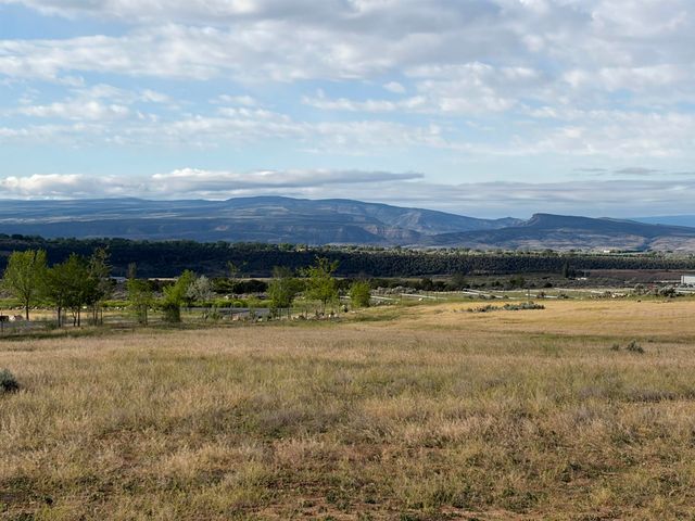 15887 Stardust Lane, Cedaredge, CO 81413