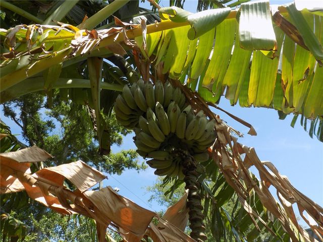 2168 KENT AVENUE, Clearwater, FL 33764