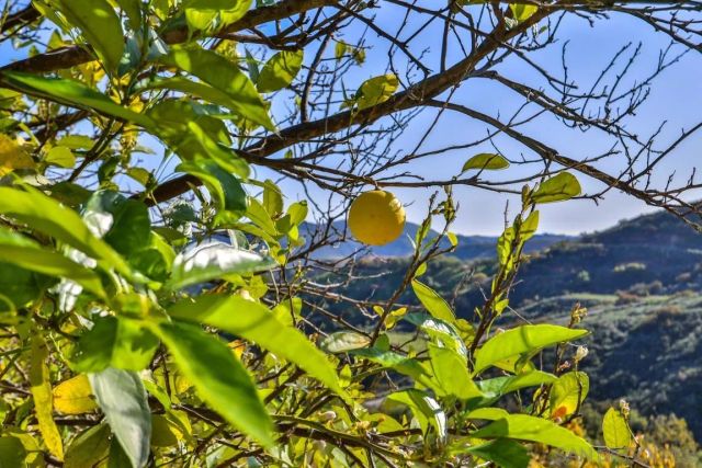 44945 Palladian Ct 15, Temecula, CA 92590