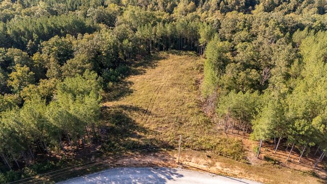 289 Center Ridge Dr, Linden, TN 37096