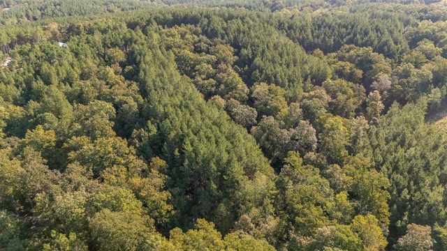 289 Center Ridge Dr, Linden, TN 37096