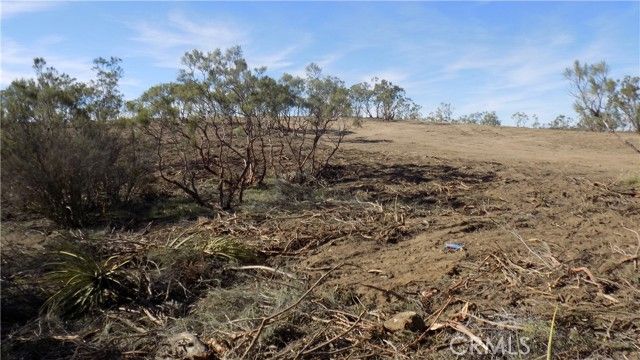 0 Thouroughbred Ct, Aguanga, CA 92536