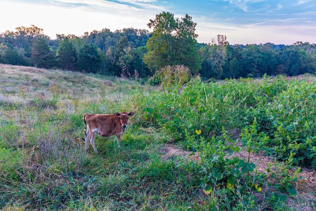 2828 Pumpkin Ridge Road, West Union, OH 45693