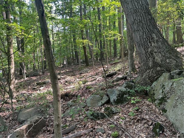 LOT 934 Ski Slope RD, Bullskin Twp, PA 15610