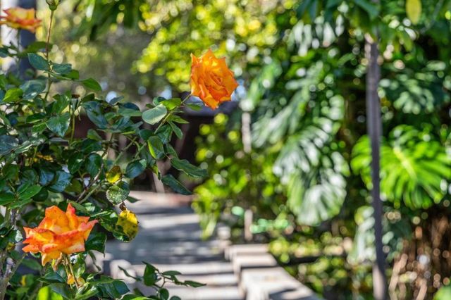 4080 Leigh Avenue, San Jose, CA 95124