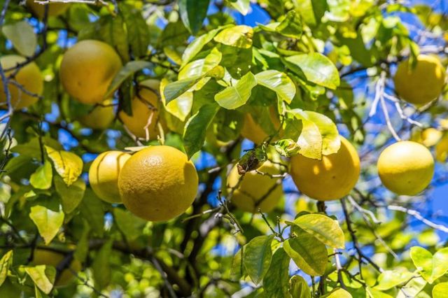 4080 Leigh Avenue, San Jose, CA 95124