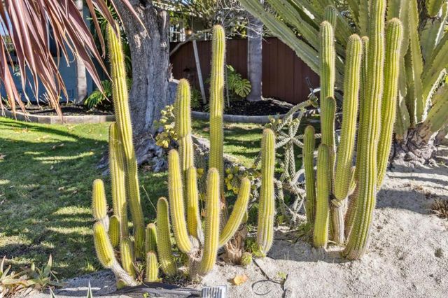 4080 Leigh Avenue, San Jose, CA 95124