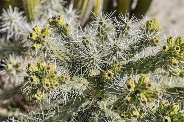 4080 Leigh Avenue, San Jose, CA 95124