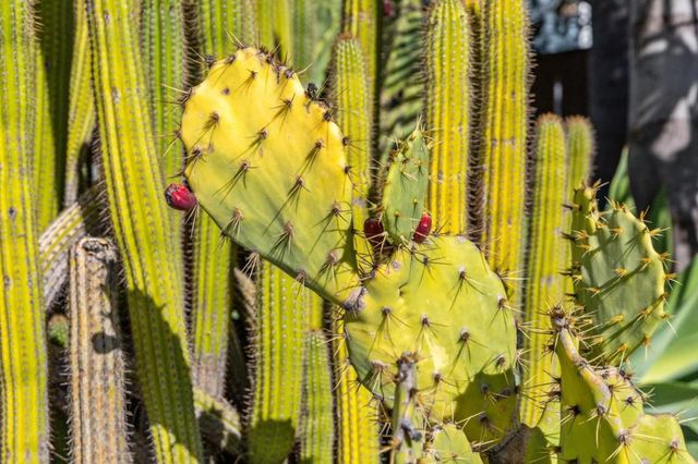 4080 Leigh Avenue, San Jose, CA 95124