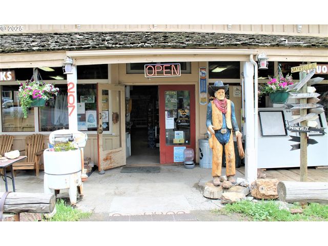 207 W FRANKLIN Ave, Dayville, OR 97825