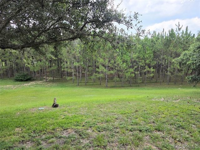 1600 W Spring Meadow Loop, Lecanto, FL 34461