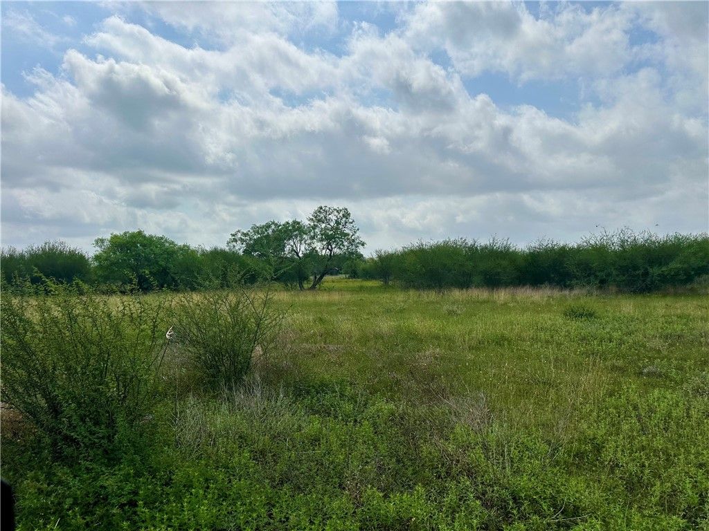 000 Old Goliad Rd- Tract 17, Refugio, TX 78377 — photo 3
