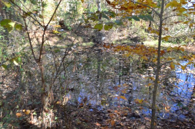 0 Whitson Hollow Rd, Red Boiling Springs, TN 37150