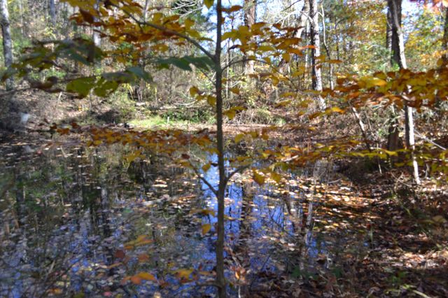 0 Whitson Hollow Rd, Red Boiling Springs, TN 37150