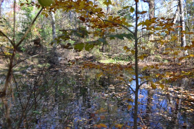 0 Whitson Hollow Rd, Red Boiling Springs, TN 37150