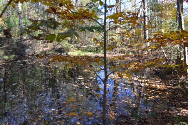 0 Whitson Hollow Rd, Red Boiling Springs, TN 37150