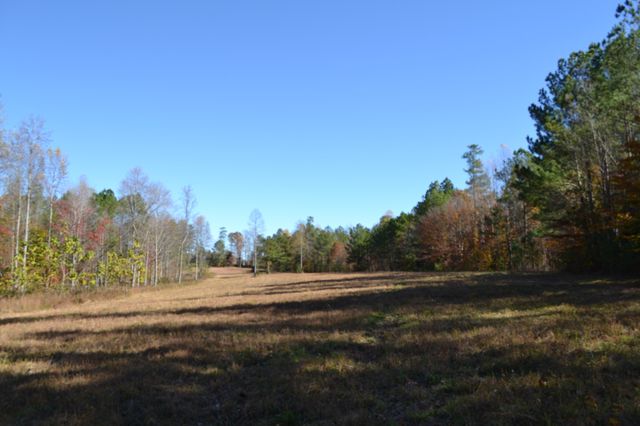 0 Whitson Hollow Rd, Red Boiling Springs, TN 37150