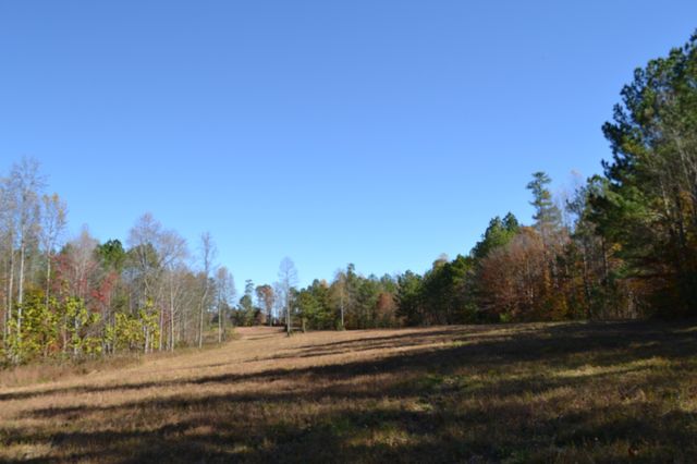 0 Whitson Hollow Rd, Red Boiling Springs, TN 37150