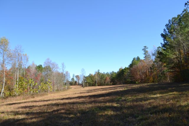 0 Whitson Hollow Rd, Red Boiling Springs, TN 37150