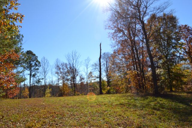 0 Whitson Hollow Rd, Red Boiling Springs, TN 37150