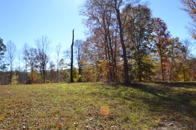 0 Whitson Hollow Rd, Red Boiling Springs, TN 37150