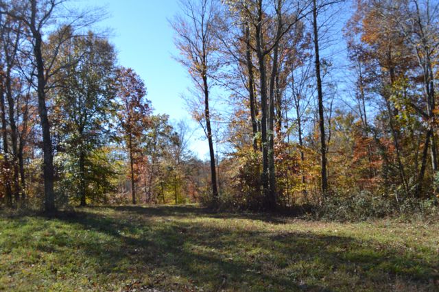 0 Whitson Hollow Rd, Red Boiling Springs, TN 37150