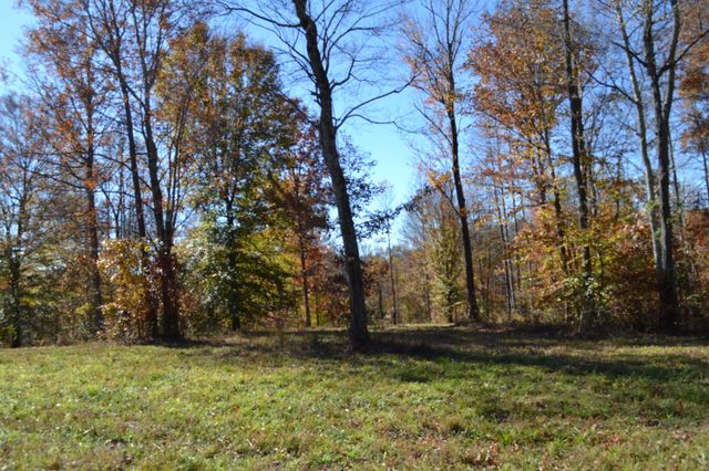 0 Whitson Hollow Rd, Red Boiling Springs, TN 37150
