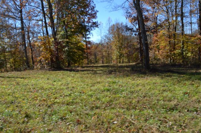 0 Whitson Hollow Rd, Red Boiling Springs, TN 37150