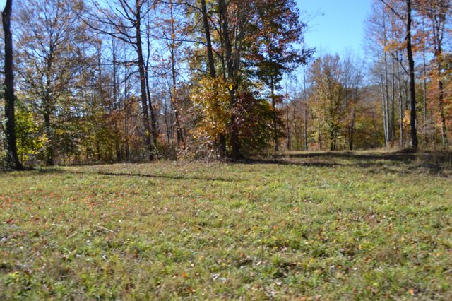 0 Whitson Hollow Rd, Red Boiling Springs, TN 37150