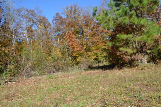 0 Whitson Hollow Rd, Red Boiling Springs, TN 37150