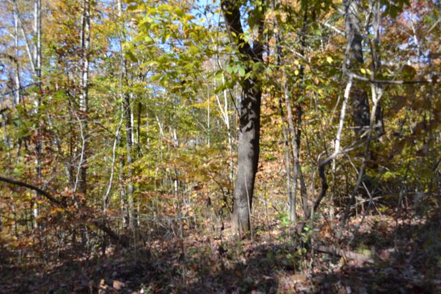 0 Whitson Hollow Rd, Red Boiling Springs, TN 37150