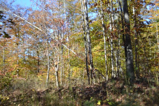 0 Whitson Hollow Rd, Red Boiling Springs, TN 37150