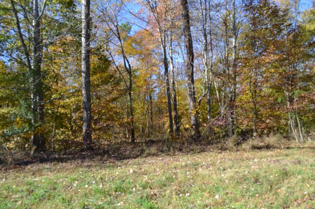0 Whitson Hollow Rd, Red Boiling Springs, TN 37150