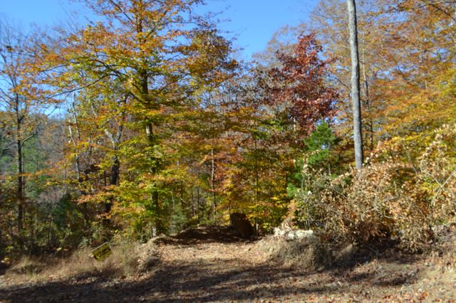 0 Whitson Hollow Rd, Red Boiling Springs, TN 37150