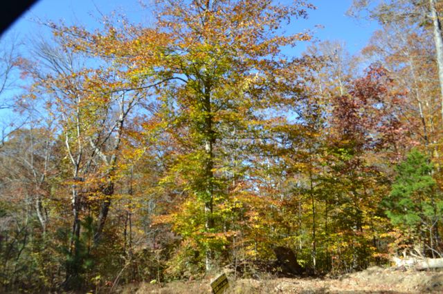 0 Whitson Hollow Rd, Red Boiling Springs, TN 37150