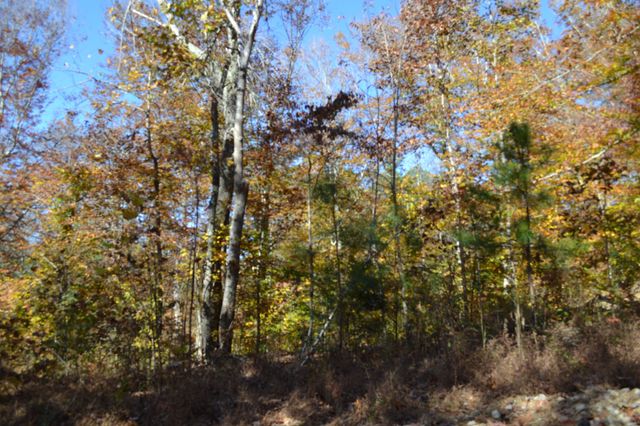 0 Whitson Hollow Rd, Red Boiling Springs, TN 37150