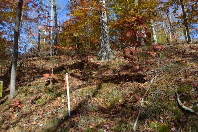 0 Whitson Hollow Rd, Red Boiling Springs, TN 37150