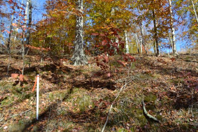 0 Whitson Hollow Rd, Red Boiling Springs, TN 37150