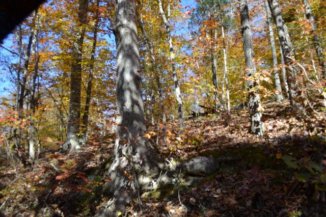 0 Whitson Hollow Rd, Red Boiling Springs, TN 37150