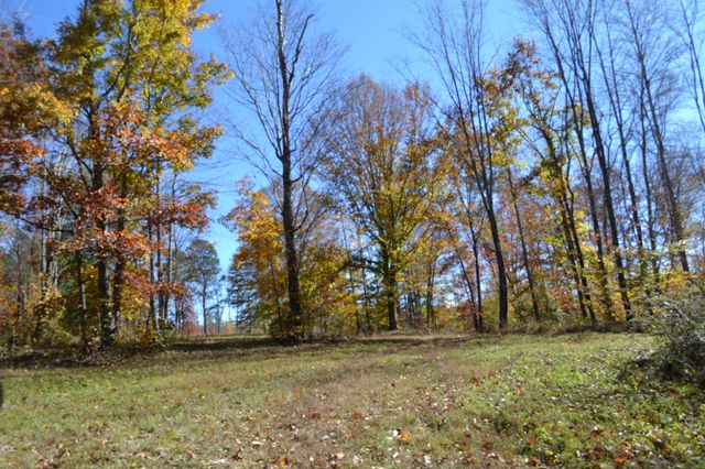 0 Whitson Hollow Rd, Red Boiling Springs, TN 37150