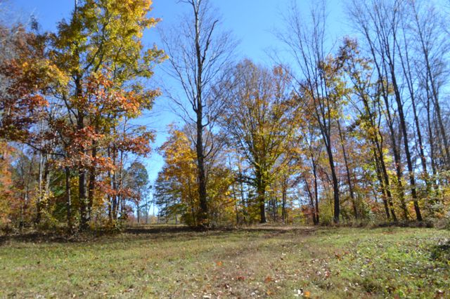 0 Whitson Hollow Rd, Red Boiling Springs, TN 37150