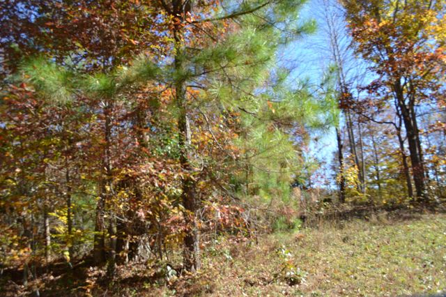 0 Whitson Hollow Rd, Red Boiling Springs, TN 37150