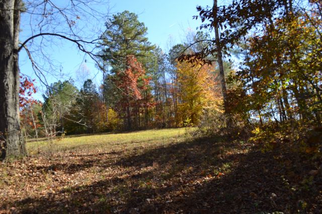 0 Whitson Hollow Rd, Red Boiling Springs, TN 37150