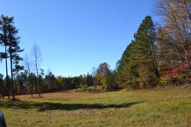 0 Whitson Hollow Rd, Red Boiling Springs, TN 37150