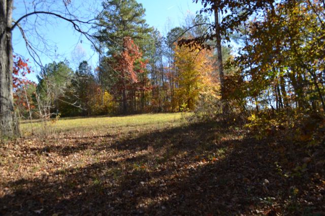 0 Whitson Hollow Rd, Red Boiling Springs, TN 37150