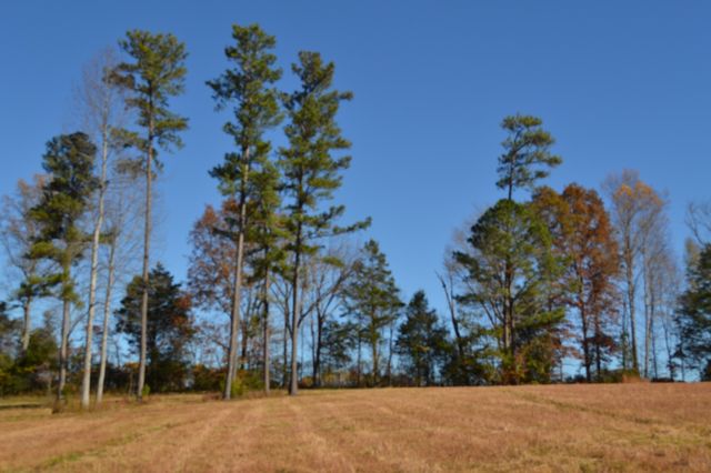 0 Whitson Hollow Rd, Red Boiling Springs, TN 37150