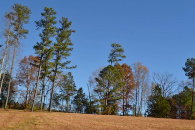 0 Whitson Hollow Rd, Red Boiling Springs, TN 37150