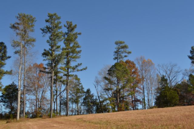 0 Whitson Hollow Rd, Red Boiling Springs, TN 37150