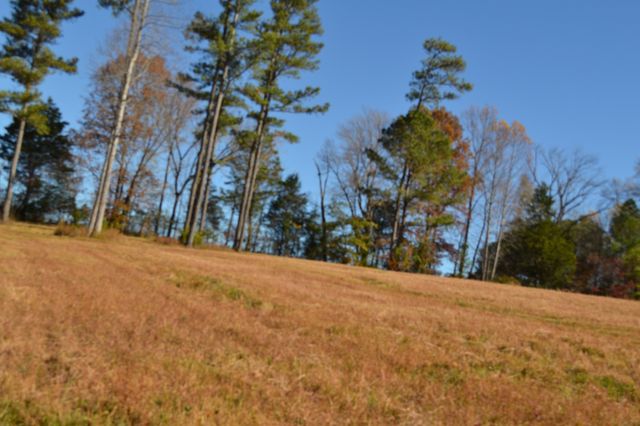 0 Whitson Hollow Rd, Red Boiling Springs, TN 37150