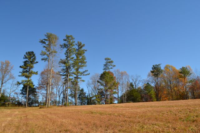 0 Whitson Hollow Rd, Red Boiling Springs, TN 37150